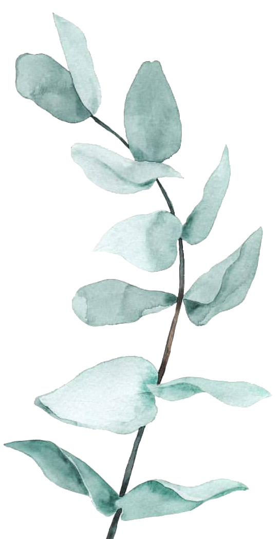 transparent-leaf-flower-plant-petal-branch-green-flower-flowers-flowery-flora5dd66326d82936.6059193315743311748854